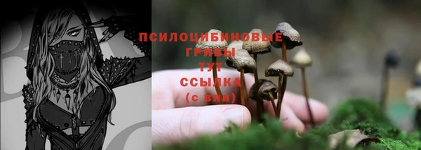 мяу мяу мука Михайловск