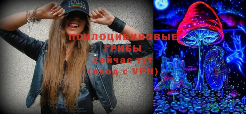 kraken   Иркутск  Псилоцибиновые грибы Magic Shrooms  купить  