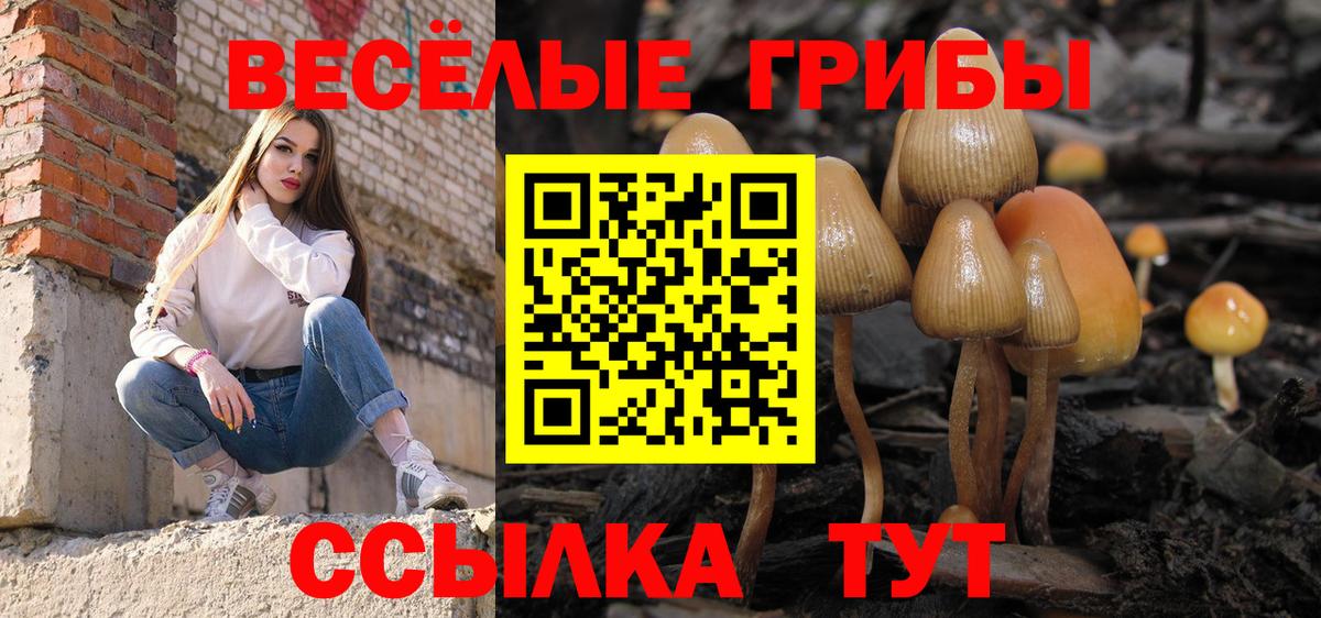 Галлюциногенные грибы мицелий Иркутск