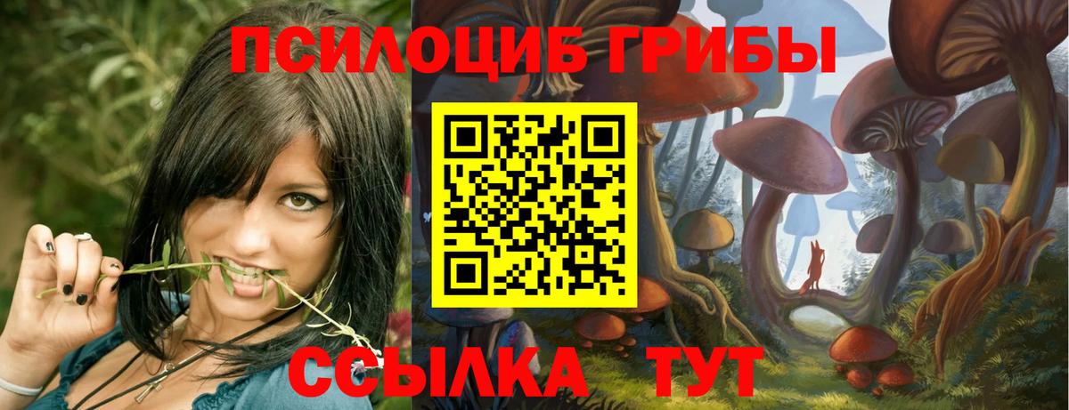 Псилоцибиновые грибы GOLDEN TEACHER  Иркутск  Галлюциногенные грибы MAGIC MUSHROOMS 