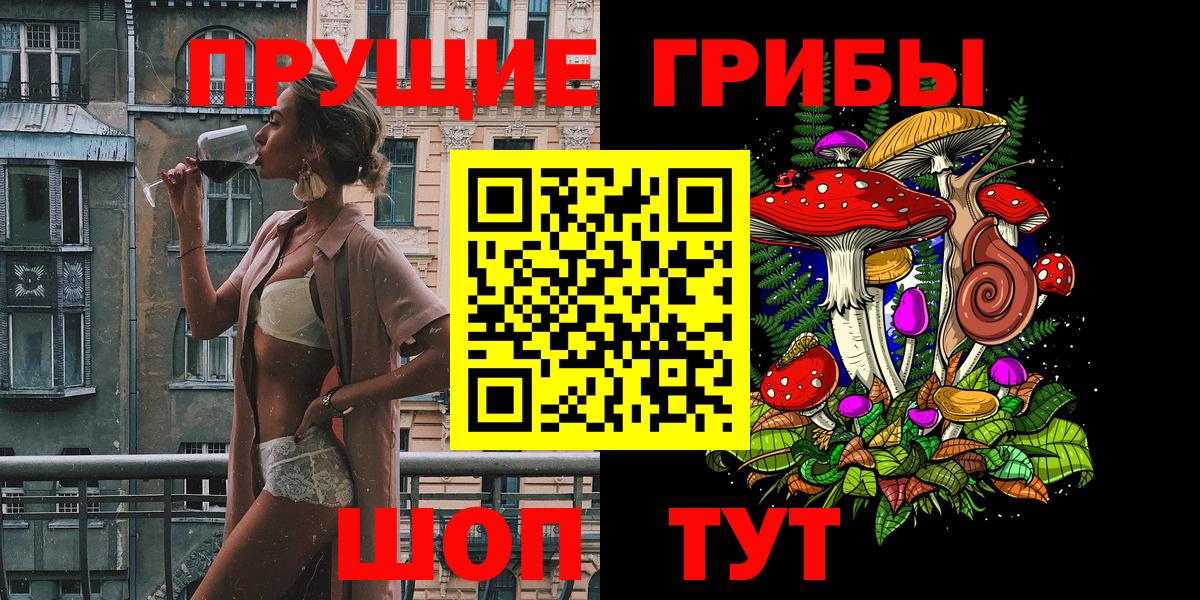 Псилоцибиновые грибы Psilocybine cubensis Иркутск
