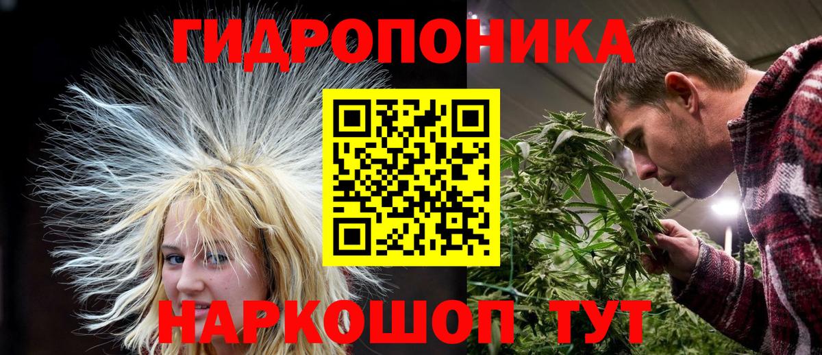 Бошки Шишки планчик  Канабис планчик  Иркутск  Бошки Шишки THC 21%  Бошки марихуана гибрид 